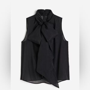 H&M Sheer Tie-neck Blouse
